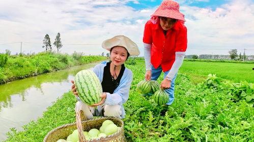 吃瓜高手免费观看全集,免费解锁全集,揭秘娱乐圈幕后真相 第3张 吃瓜高手免费观看全集,免费解锁全集,揭秘娱乐圈幕后真相 第3张